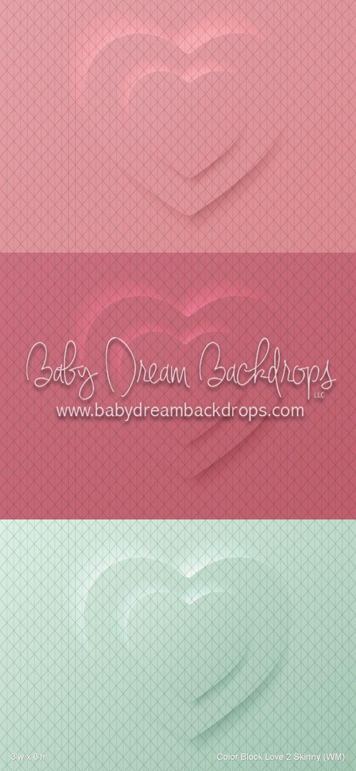 Color Block Love 2 Skinny (WM)