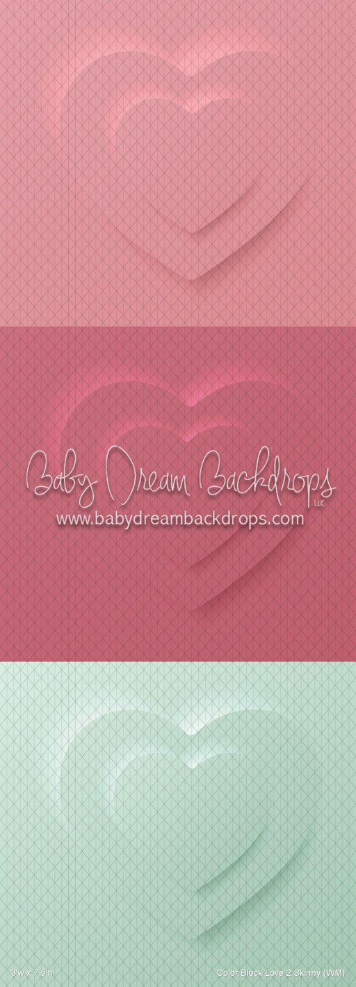 Color Block Love 2 Skinny (WM)