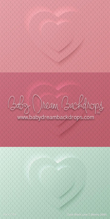 Color Block Love 2 Skinny (WM)