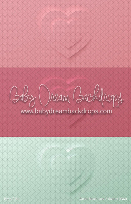 Color Block Love 2 Skinny (WM)