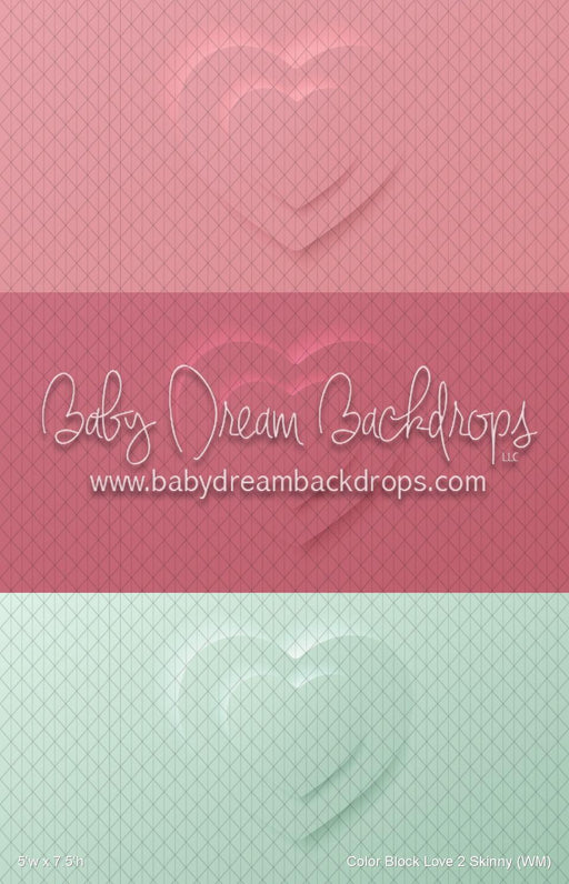 Color Block Love 2 Skinny (WM)