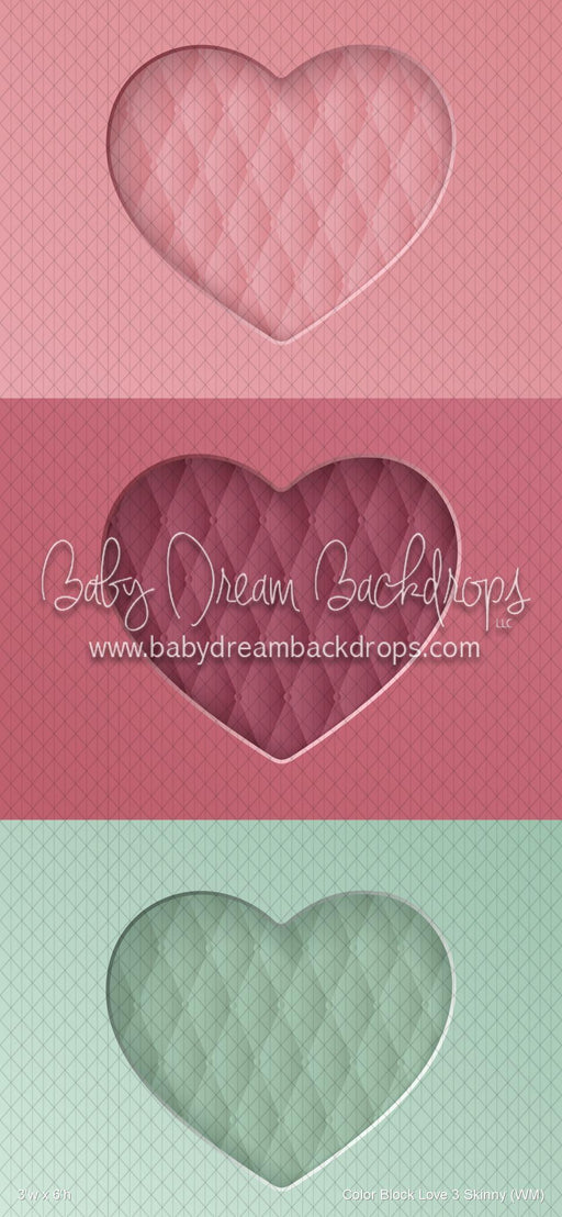 Color Block Love 3 Skinny (WM)