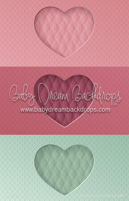 Color Block Love 3 Skinny (WM)