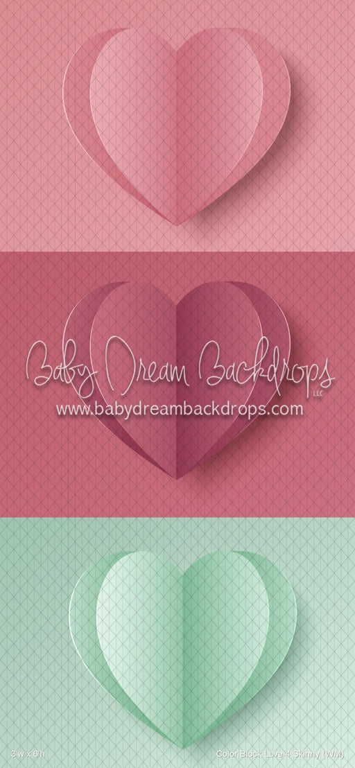 Color Block Love 4 Skinny (WM)