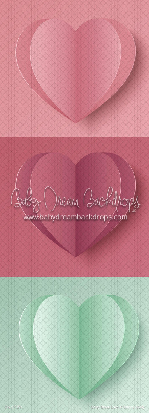 Color Block Love 4 Skinny (WM)