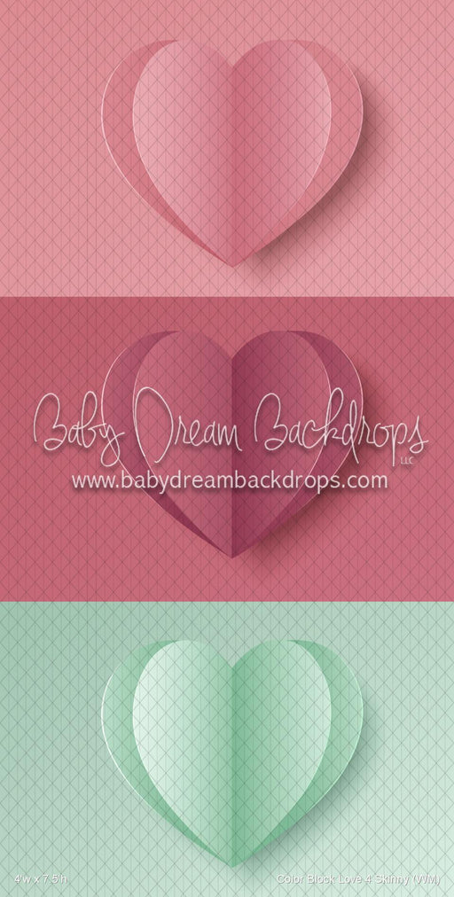 Color Block Love 4 Skinny (WM)