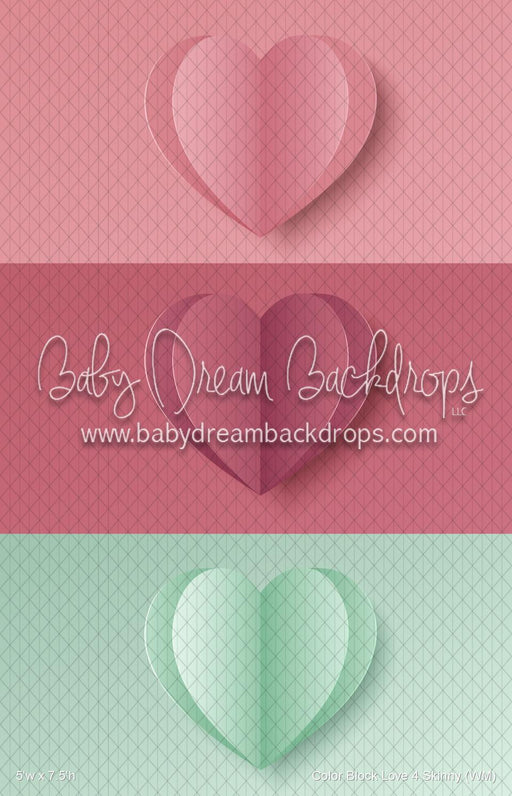 Color Block Love 4 Skinny (WM)