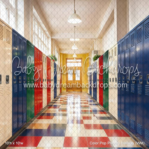 Color Pop Primary Hallway (WM)