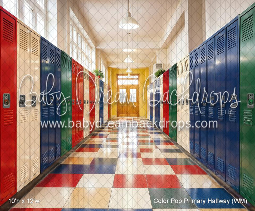 Color Pop Primary Hallway (WM)