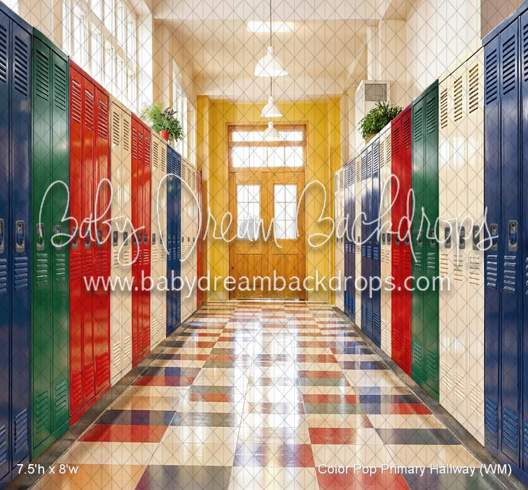 Color Pop Primary Hallway (WM)