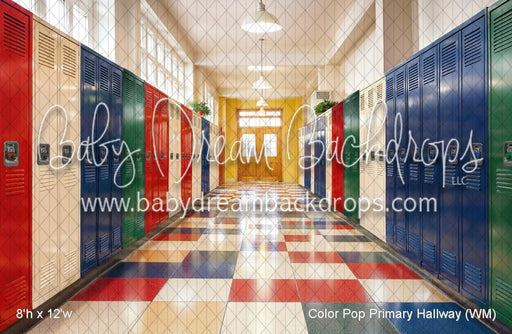 Color Pop Primary Hallway (WM)