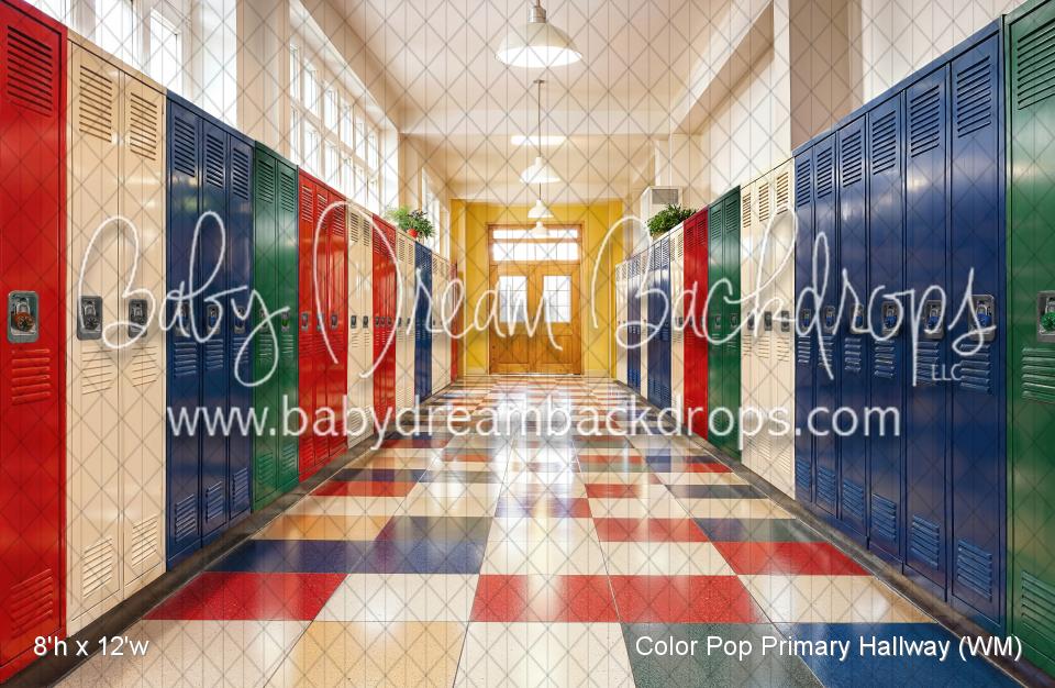 Color Pop Primary Hallway (WM)