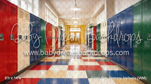Color Pop Primary Hallway (WM)