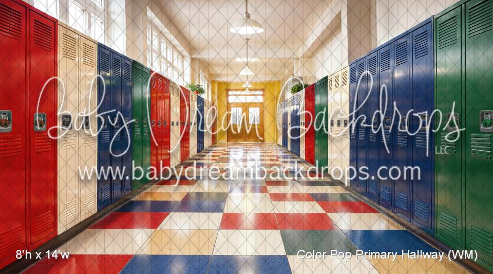 Color Pop Primary Hallway (WM)