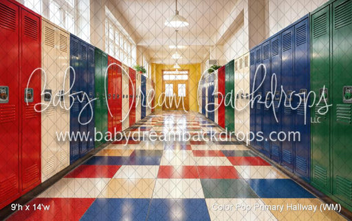 Color Pop Primary Hallway (WM)