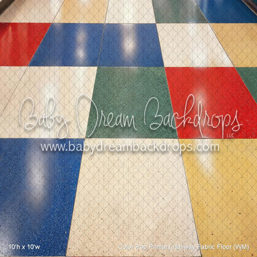 Color Pop Primary Hallway Fabric Floor (WM)