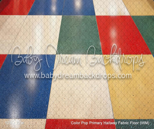Color Pop Primary Hallway Fabric Floor (WM)