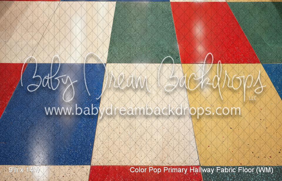 Color Pop Primary Hallway Fabric Floor (WM)