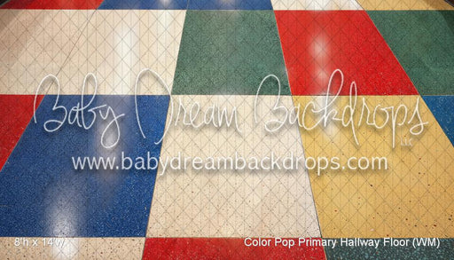 Color Pop Primary Hallway Floor (WM)