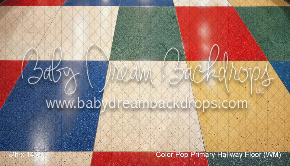 Color Pop Primary Hallway Floor (WM)