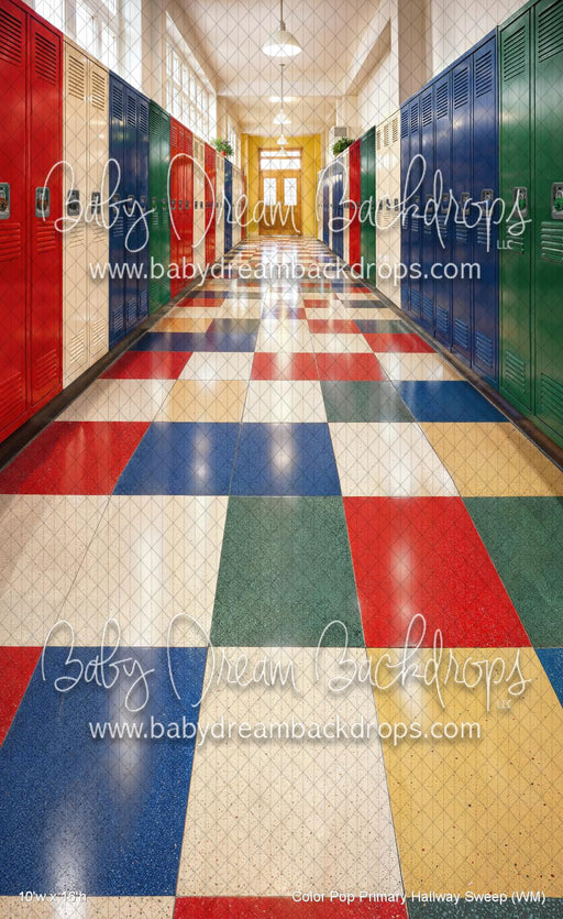 Color Pop Primary Hallway Sweep (WM)