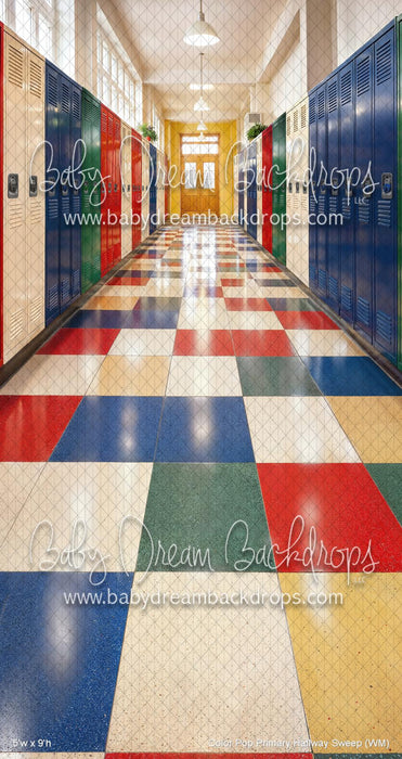 Color Pop Primary Hallway Sweep (WM)