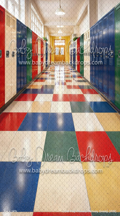 Color Pop Primary Hallway Sweep (WM)