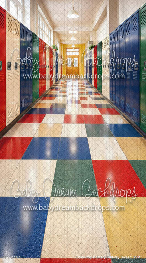 Color Pop Primary Hallway Sweep (WM)