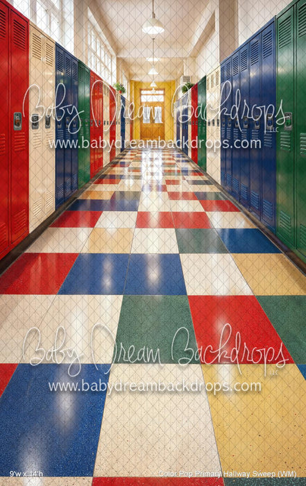 Color Pop Primary Hallway Sweep (WM)