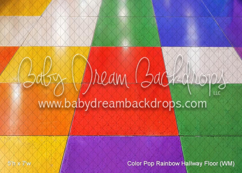 Color Pop Rainbow Hallway Fabric Floor (WM)