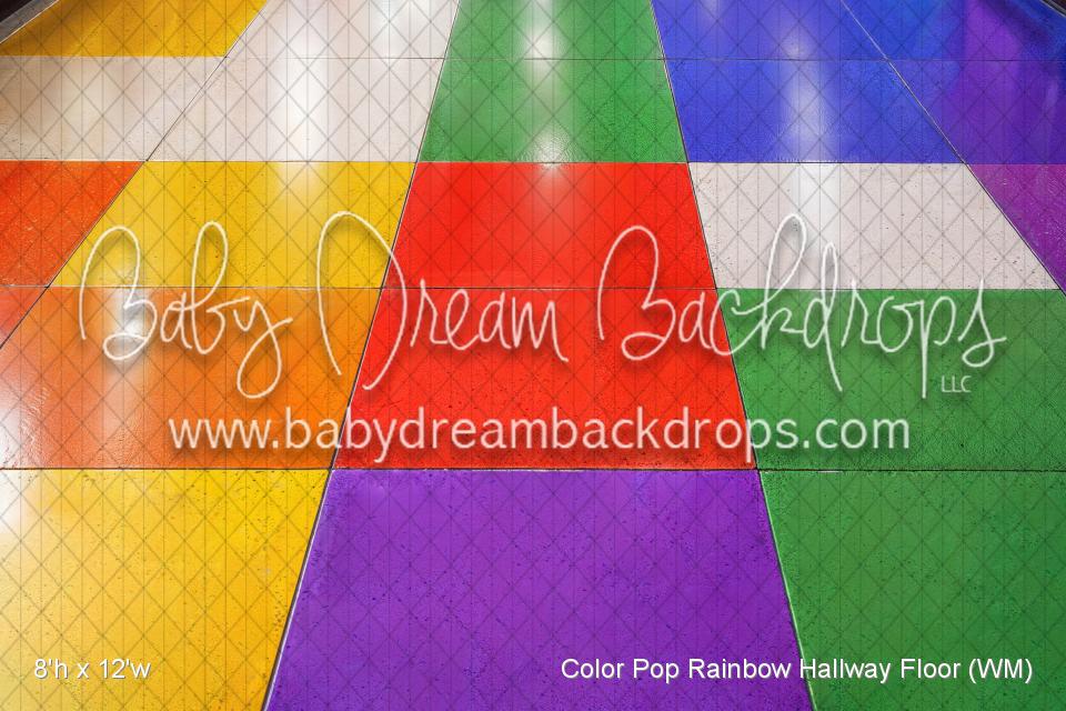 Color Pop Rainbow Hallway Floor (WM)