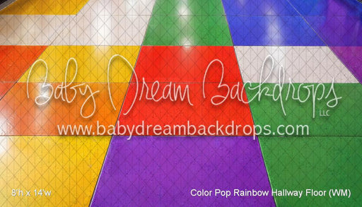 Color Pop Rainbow Hallway Fabric Floor (WM)