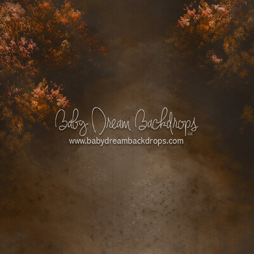 Colorado in the Fall Bottom (LL)