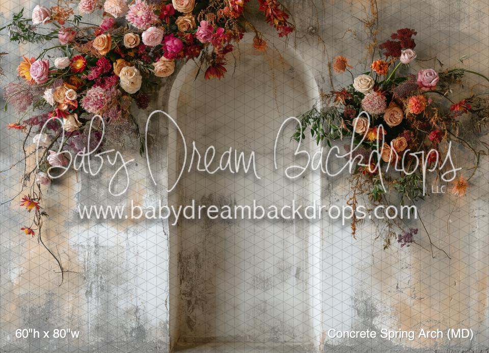 Concrete Spring Arch (MD) — Baby Dream Backdrops