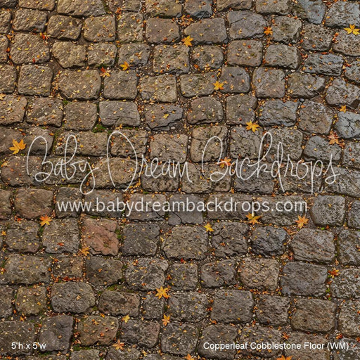 Copperleaf Cobblestone Floor (WM)