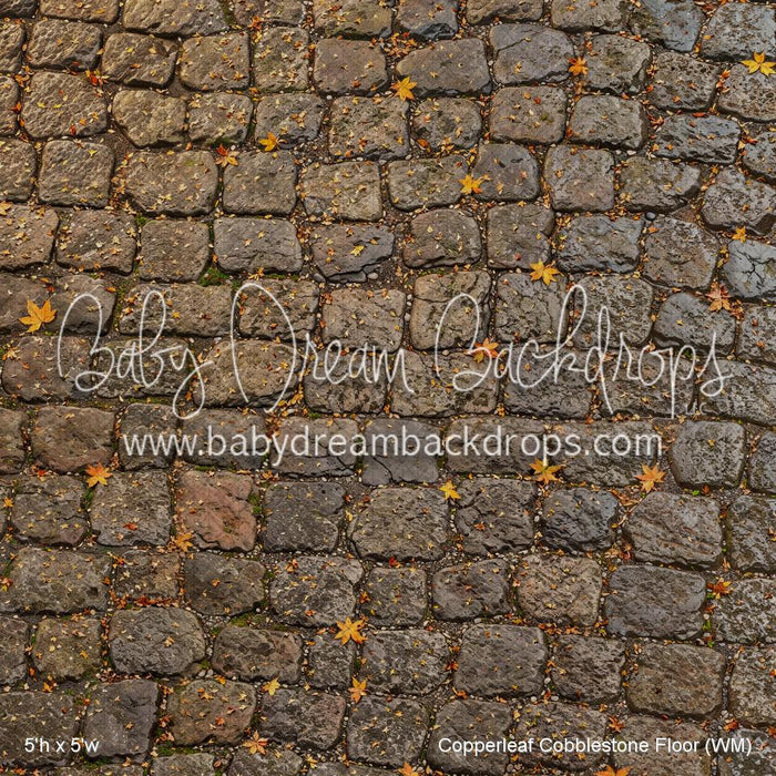 Copperleaf Cobblestone Floor (WM)