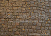Copperleaf Cobblestone Floor (WM)