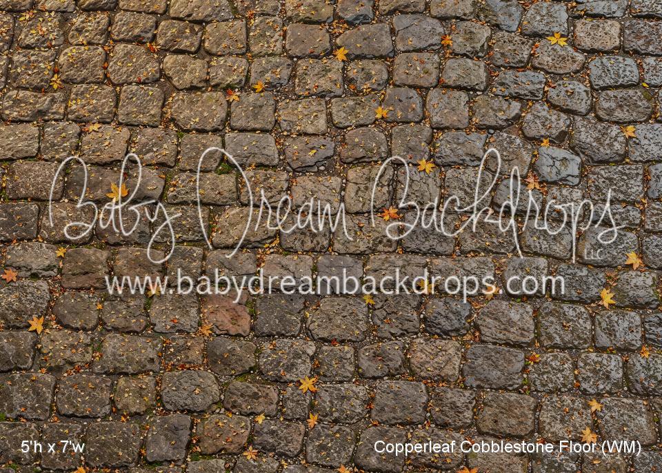 Copperleaf Cobblestone Floor (WM)