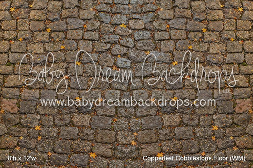 Copperleaf Cobblestone Floor (WM)