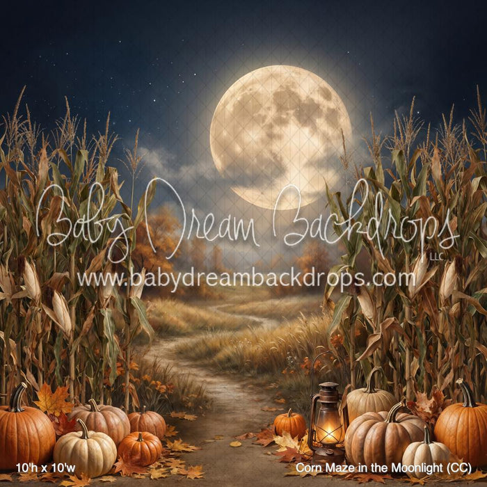 Corn Maze in the Moonlight (CC)