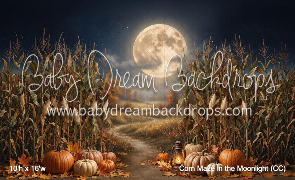 Corn Maze in the Moonlight (CC)