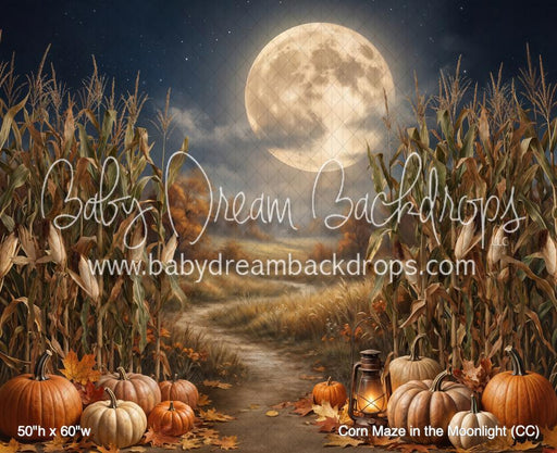 Corn Maze in the Moonlight (CC)
