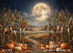 Corn Maze in the Moonlight (CC)