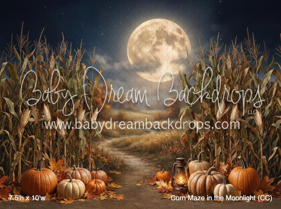 Corn Maze in the Moonlight (CC)