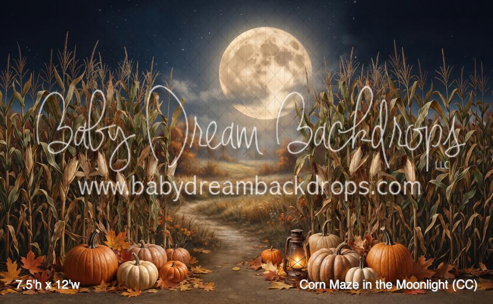Corn Maze in the Moonlight (CC)