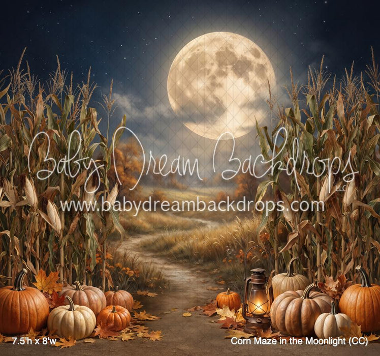 Corn Maze in the Moonlight (CC)