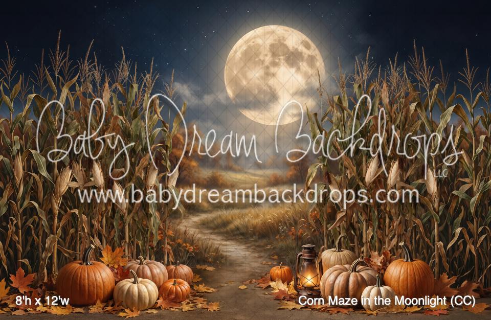 Corn Maze in the Moonlight (CC)