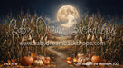 Corn Maze in the Moonlight (CC)