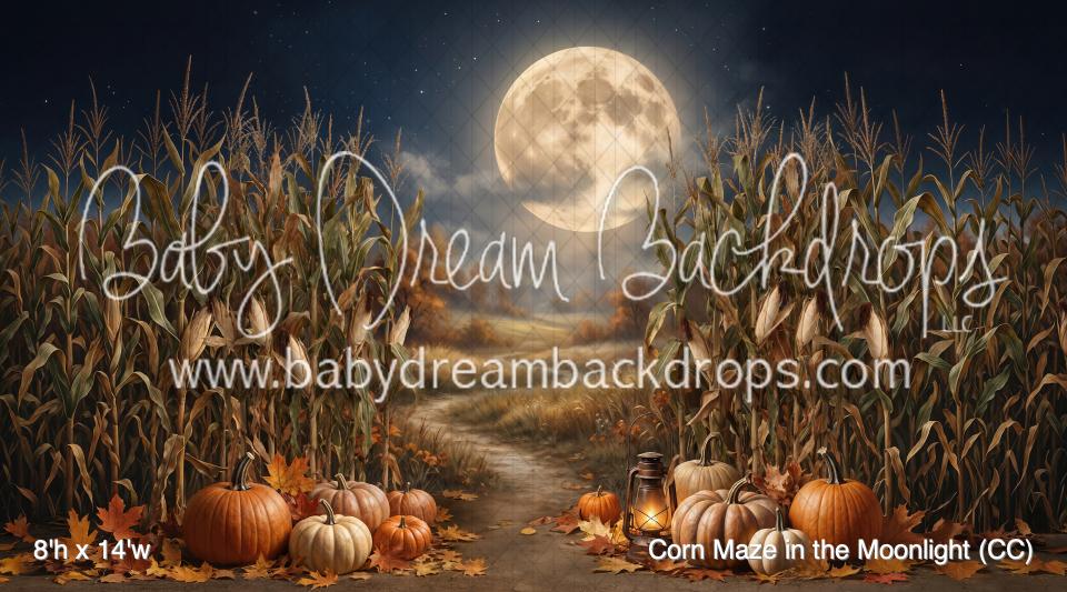 Corn Maze in the Moonlight (CC)