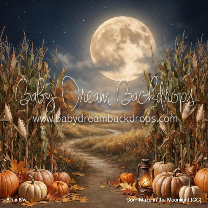 Corn Maze in the Moonlight (CC)
